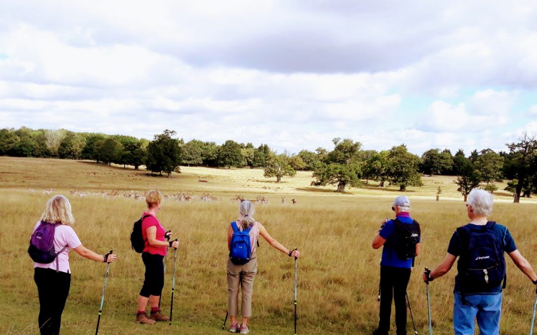 Everybody’s Talking Nordic Walking @The Coddenham Centre