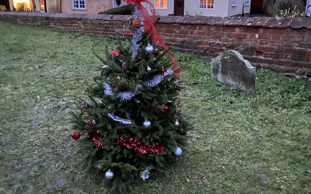 Churchyard Christmas Trees at St Mary’s