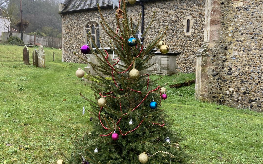 Christmas Trees at St Mary’s