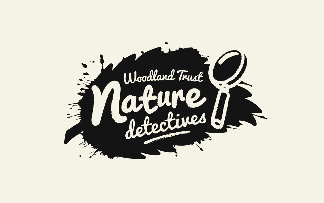 Look Out For Spring – Be a Nature Detective with The Woodland Trust