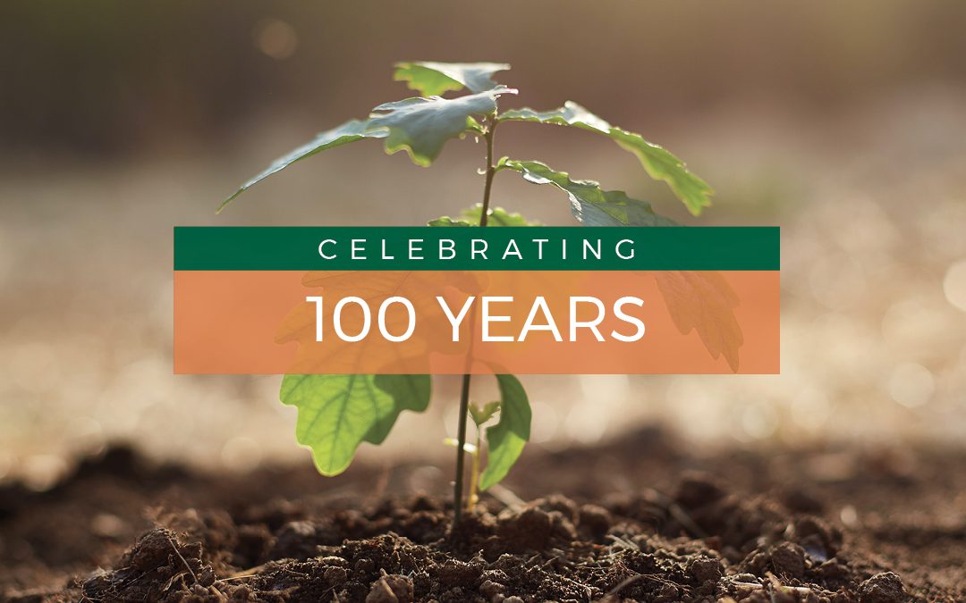 One Hundred Years of the Coddenham Recreation Ground and Opportunity to Help the Planet Together!