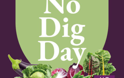 No Dig Day 2022!